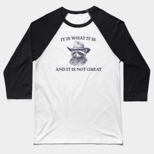 It Is What It Is And It Is Not Great Baseball T-Shirt